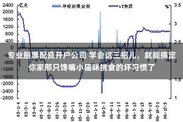 专业股票配资开户公司 学会这三招儿，就能搞定你家那只馋嘴小猫咪挑食的坏习惯了