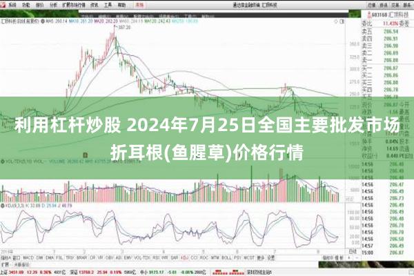 利用杠杆炒股 2024年7月25日全国主要批发市场折耳根(鱼腥草)价格行情