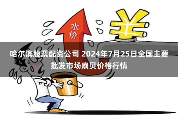 哈尔滨股票配资公司 2024年7月25日全国主要批发市场扇贝价格行情