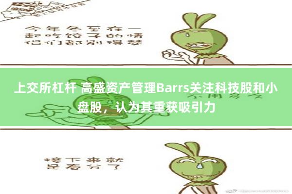 上交所杠杆 高盛资产管理Barrs关注科技股和小盘股，认为其重获吸引力