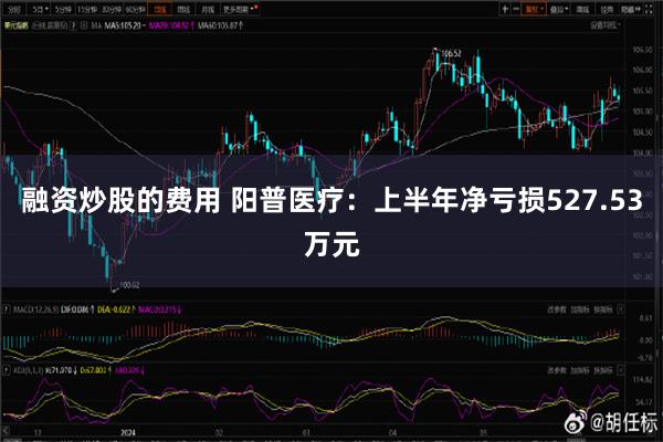 融资炒股的费用 阳普医疗：上半年净亏损527.53万元