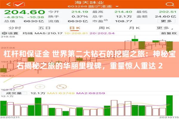 杠杆和保证金 世界第二大钻石的挖掘之旅：神秘宝石揭秘之旅的华丽里程碑，重量惊人重达 2