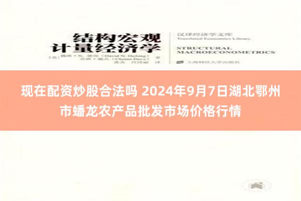 现在配资炒股合法吗 2024年9月7日湖北鄂州市蟠龙农产品批发市场价格行情