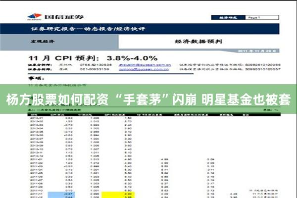 杨方股票如何配资 “手套茅”闪崩 明星基金也被套