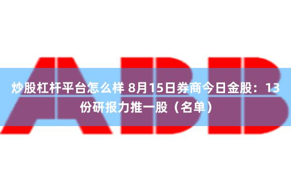 炒股杠杆平台怎么样 8月15日券商今日金股：13份研报力推一股（名单）