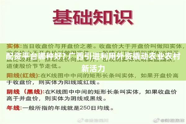 配资平台哪种好? 广西引进利用外资撬动农业农村新活力