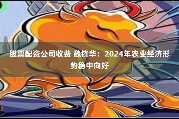 股票配资公司收费 魏锋华：2024年农业经济形势稳中向好