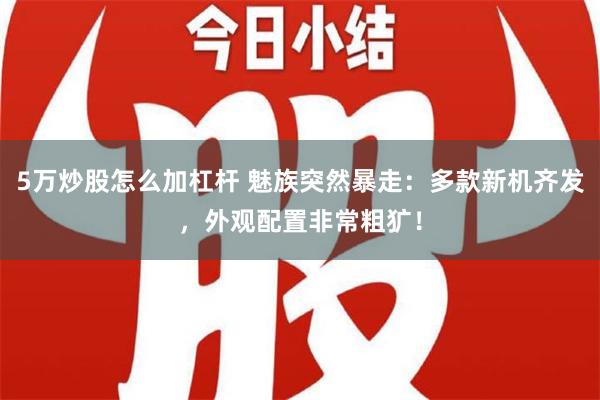 5万炒股怎么加杠杆 魅族突然暴走：多款新机齐发，外观配置非常粗犷！